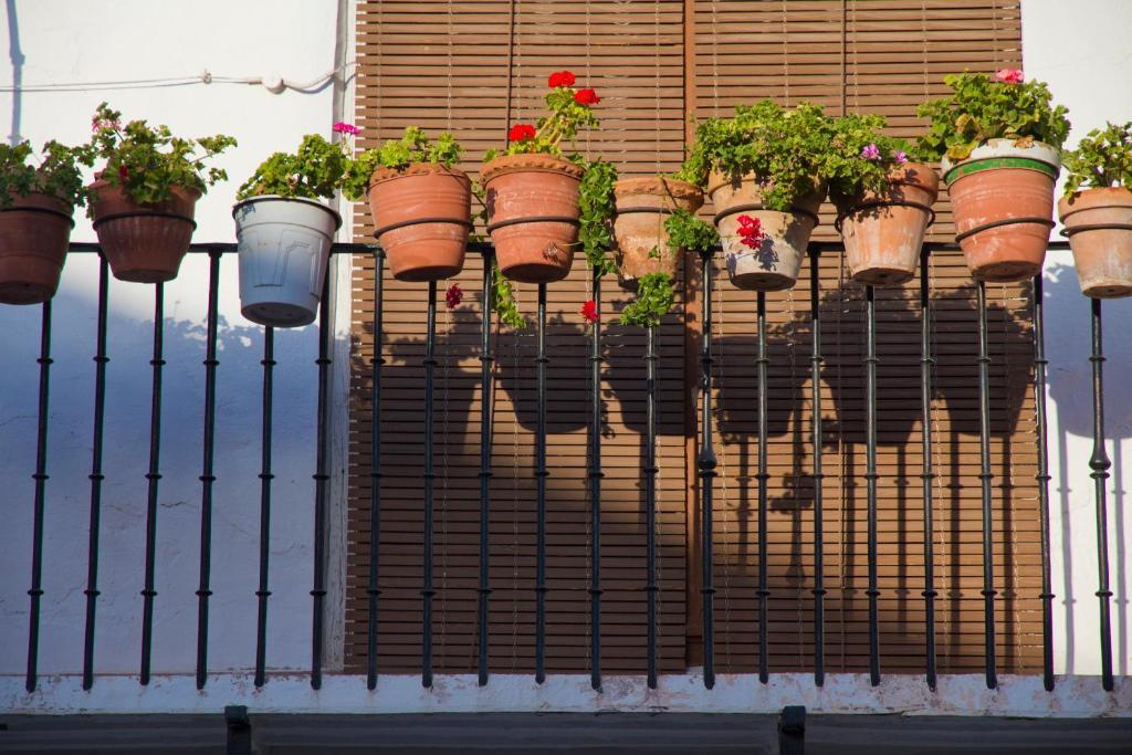 Hotel La Casona Del Abuelo Parra Villanueva De Los Infantes Zewnętrze zdjęcie